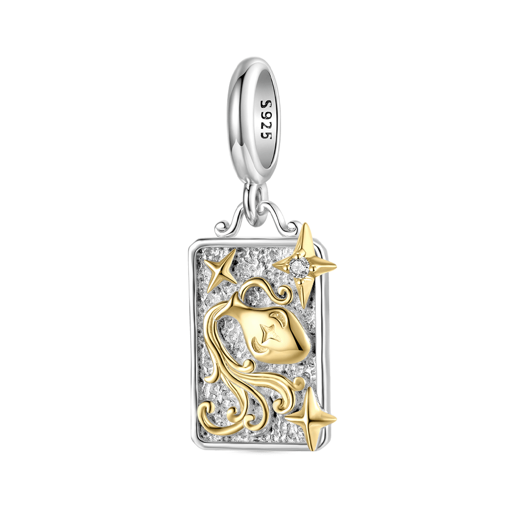 Gnoce Constellation Aquarius Pendant Dangle Charm_1