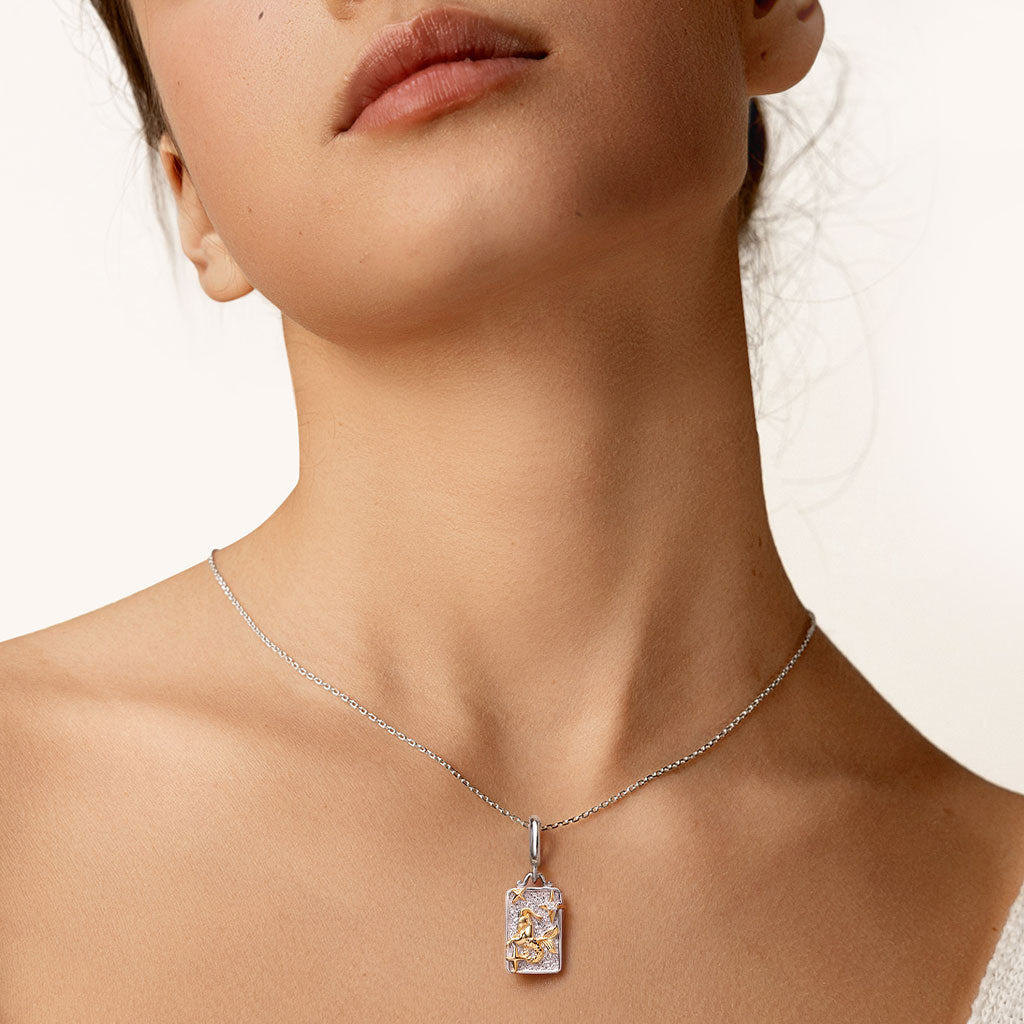 Gnoce Constellation Capricorn Pendant Dangle Charm_4